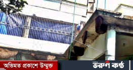টাঙ্গাইলের সখীপুরে এক বাড়িতে প্রায় অর্ধশত মৌচাক! টাঙ্গাইলের সখীপুরে এক বাড়িতে প্রায় অর্ধশত মৌচাক!