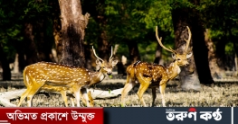 লোভে-ভোগে বাড়ছে নতুন নতুন রোগ