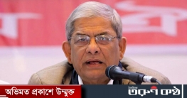 বাজেটে সাধারণ মানুষের উন্নয়নের কোনো জায়গা নেই : ফখরুল