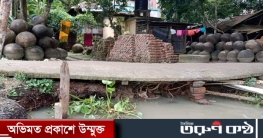 ঝালকাঠির বাসন্ডা খালের ভাঙনে দিশেহারা ২ ওয়ার্ডের মানুষ
