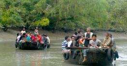 মিনি সুন্দরবন কক্সবাজারে