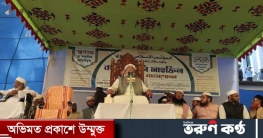 আলেমরা কারও রক্তচক্ষুকে ভয় করেন না: বাবুনগরী