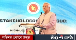 দেশ যথেষ্ট স্থিতিশীল এবং নির্বাচনের জন্য প্রস্তুত: প্রধান উপদেষ্ট