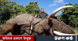 ৫০০ হাতি মেরে করোনার ক্ষতি পোষাবে জিম্বাবুয়ে!
