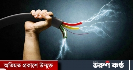 ছেলেকে বাঁচাতে গিয়ে বিদ্যুৎপৃষ্ঠ হয়ে মা-ছেলেসহ ৩ জনের মৃত্যু