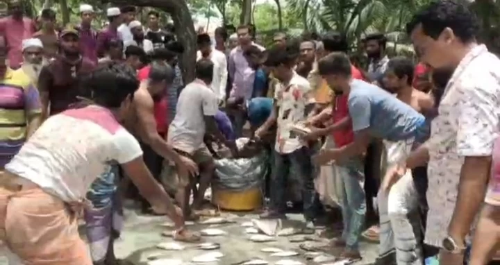 ইলিশ ও সামুদ্রিক মাছসহ কাভার্ট ভ্যান ও বাস জব্দ